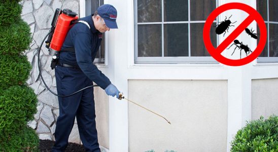 Onikişubat Fare İlaçlama böcek ilaçlama ve haşere kontrolü — ilaclama-tr.com
